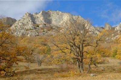 Прикрепленное изображение: 1.JPG